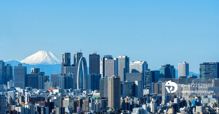 新宿と富士山の風景