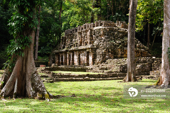 Yaxchilan Maya ruins in Mexico