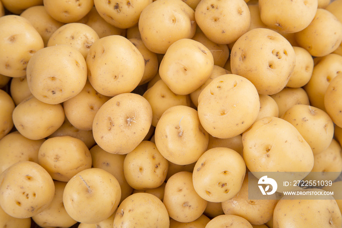 Yellow potato (Solanum phureja)