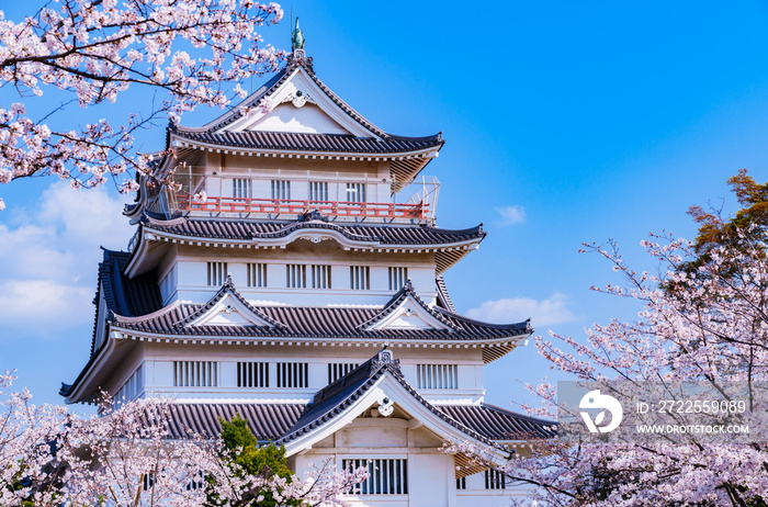 千葉市立郷土博物館　【 千葉 の 桜 の 名所 】