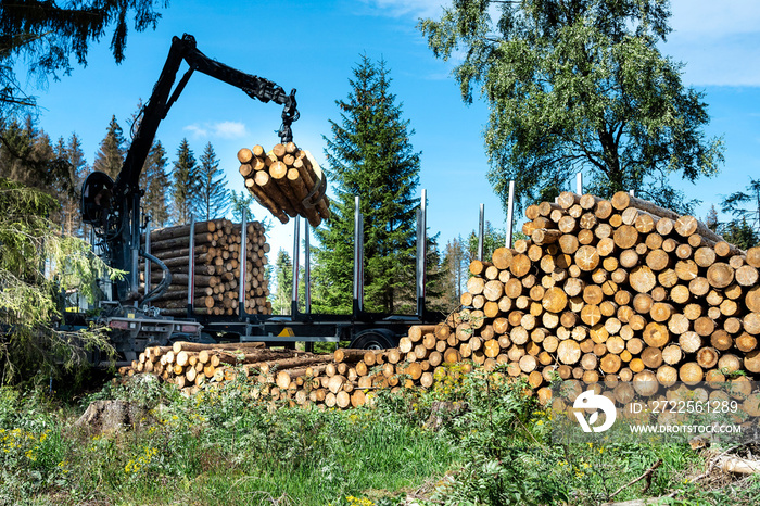 LKW beim Beladen von Baumstämmen im Harz