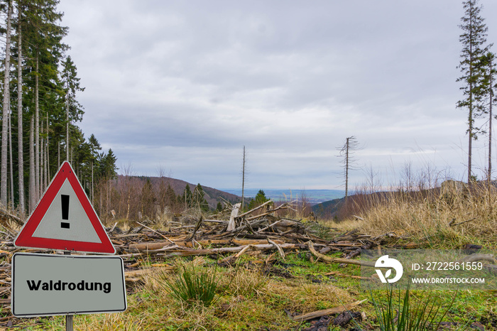 Warnschild Waldrodung Wald