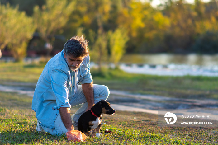 Senior man picking up dog poop from the lawn at the public park.