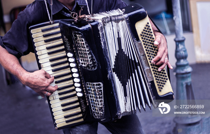 musician playing accordion music on street show performance