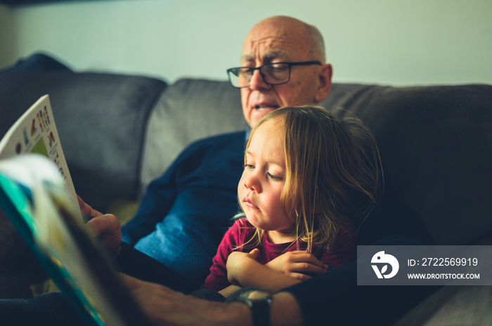 Grandfather reading to preschooler grandchild on the sofa