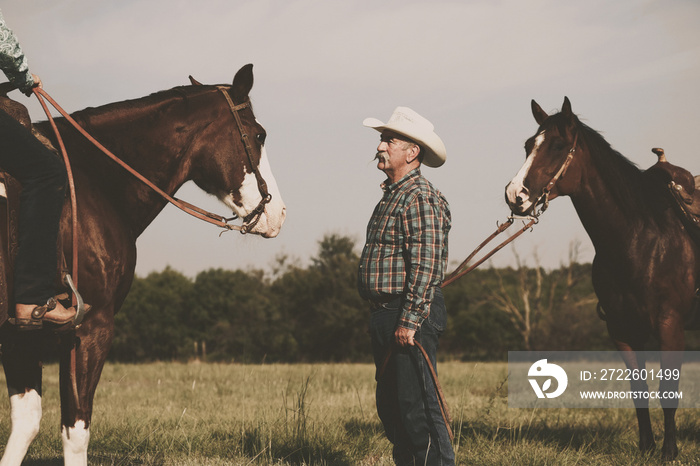 Cowboy with horses on ranch for country western lifestyle in Texas summer field.