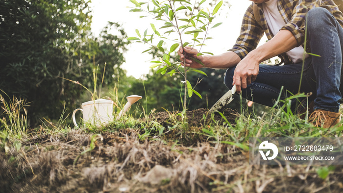 young man gardener, planting tree in garden, gardening and watering plants