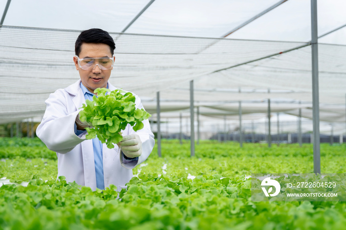 Asian scientists are testing the growth of vegetables in a hydroponic growing system.