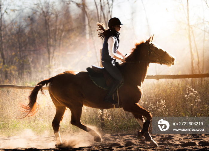 Young pretty girl - riding a horse in winter morning