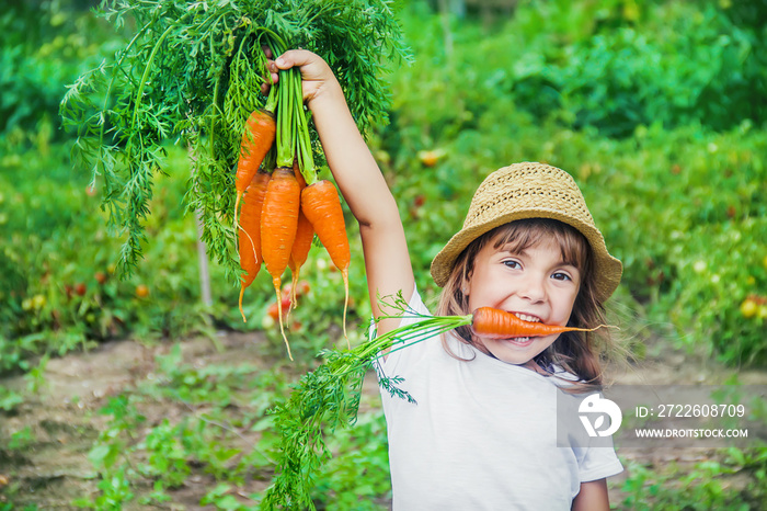 Child and vegetables on the farm. Selective focus.