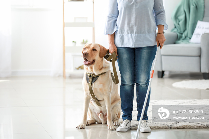 Blind mature woman with guide dog at home