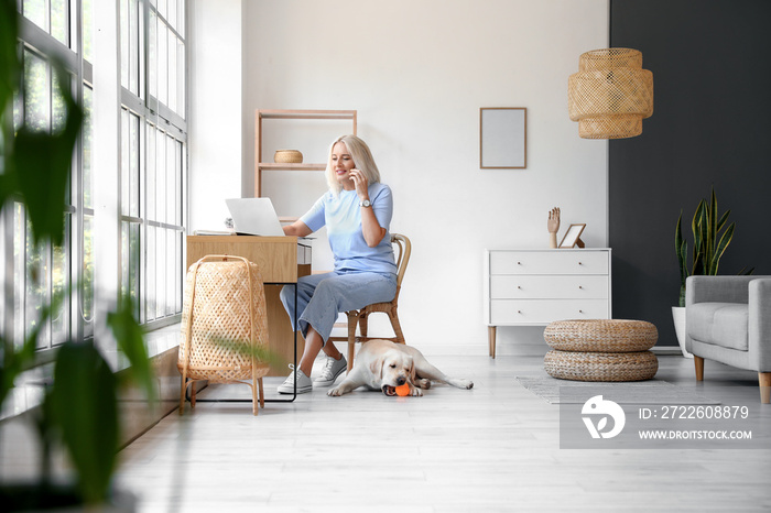 Mature woman with cute Labrador dog using laptop at home