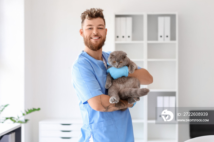 Male veterinarian with Scottish fold cat in clinic