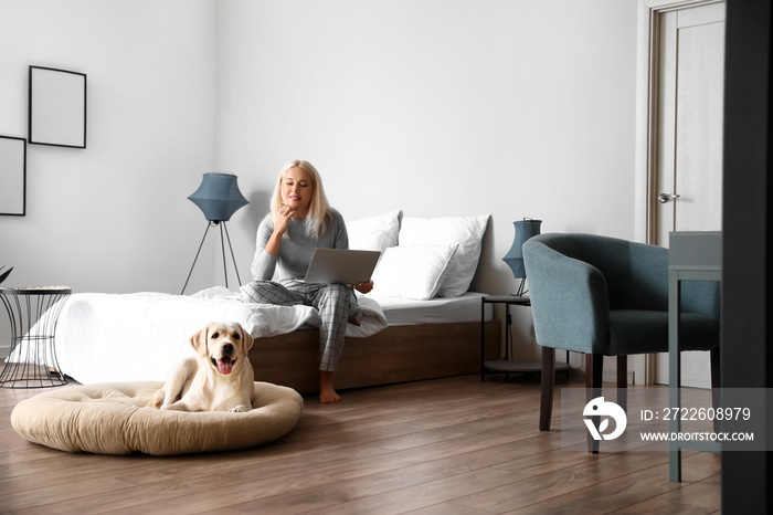 Mature woman with laptop cute Labrador dog in bedroom