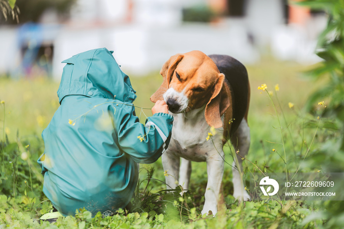 Child giving grass to his dog