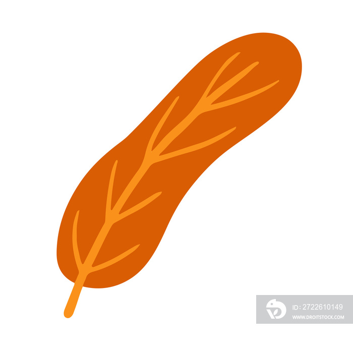 Trendy leaf illustration in minimalist style for natural design element