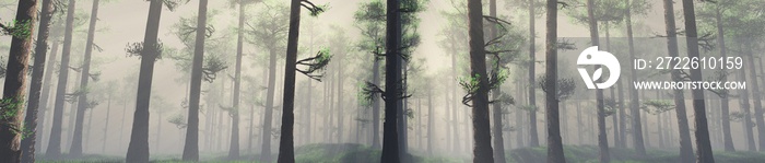 Forest in the morning in a fog in the sun, trees in a haze of light, glowing fog among the trees, 3D rendering