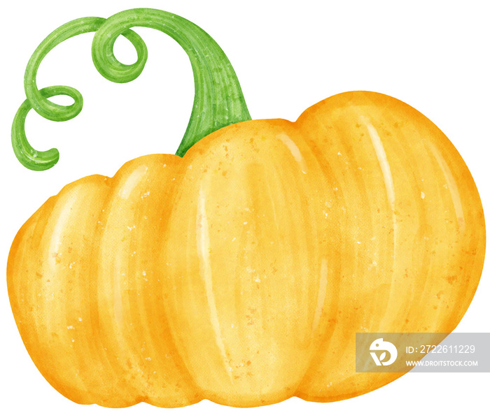 Watercolor fresh yellow orange pumpkin vegetable vibrant color hand drawing