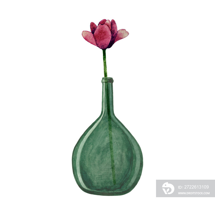 Hand painted watercolor illustration of green glass bottle with dark purple Tulip flower. Cozy home decor items. Spring flowers. Isolated objects on transparent background.