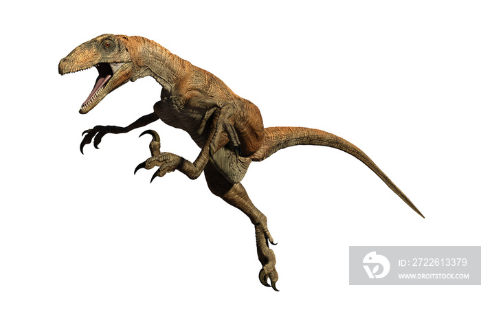 Velociraptor dinosaur jurassic