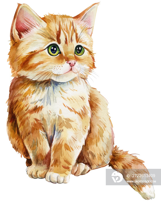 Cute kittens set., red cat on an isolated white background. watercolor illustration, hand drawing