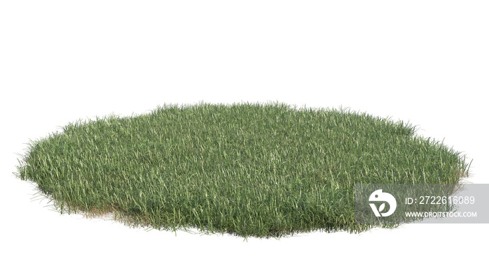 grass isolated