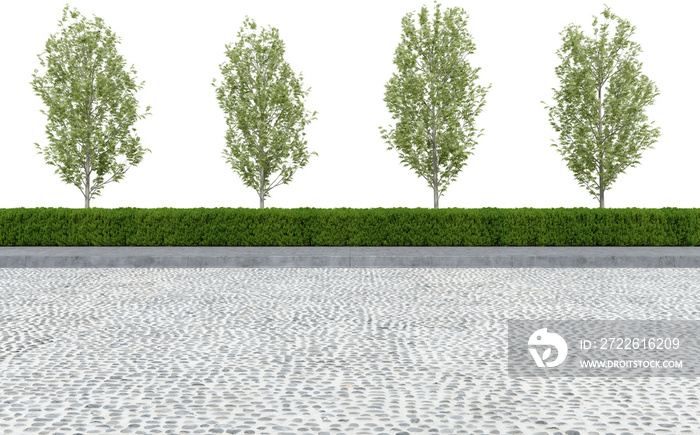 Realistic road side with hedge and tree. 3d rendering of isolated objects.