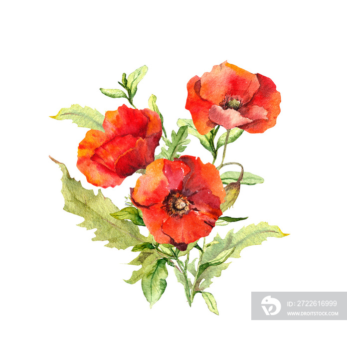 Poppies floral bouquet. Watercolor wild flowers illustration