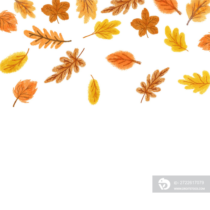 autumn leaf  background