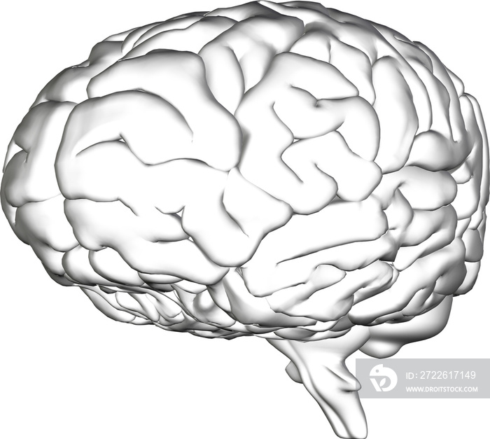 Image of 3d transparent human brain