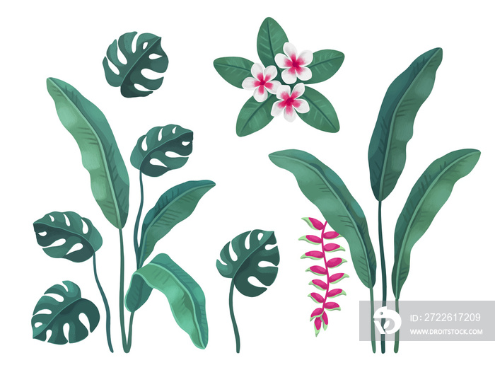 Hand painted illustration of Tropical leaves and flowers