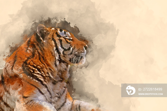 Digital watercolor painting of Stunning close up image of tiger relaxing on warm day