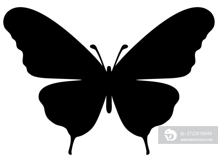 butterfly silhouette decoration