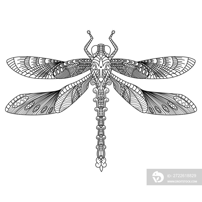 Hand drawn of Dragonfly in zentangle style