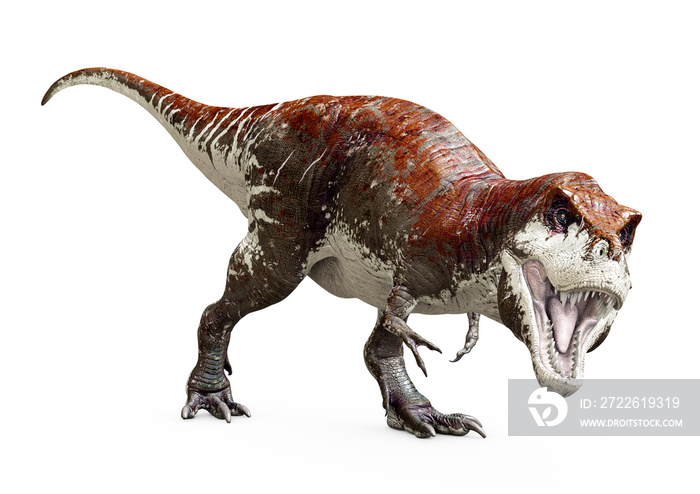 T-Rex, Tyrannosaurus rex, Red white skin, 3D-Rendering