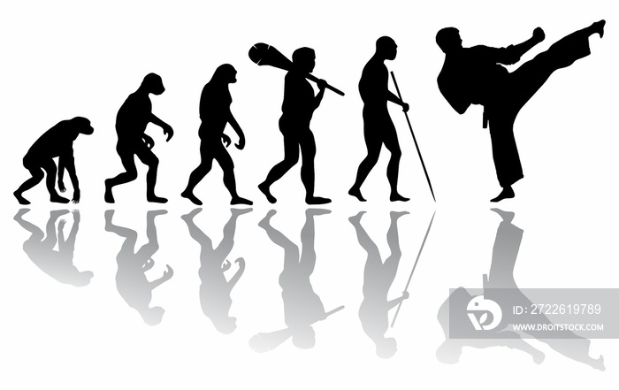 The evolution of Karate martial arts. The evolution of the monkey from prehistoric times to the athlete.