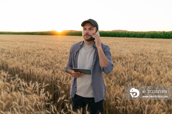 Bearded farmer with mobile phone and digital tablet in agricultural field at sunset