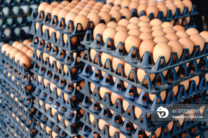 Eggs from hen farm in the package that preserved for sale.