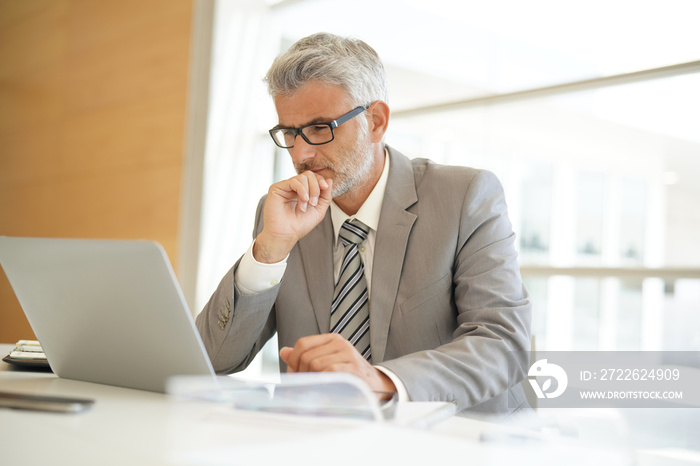 Mature businessman working on computer in corporate office