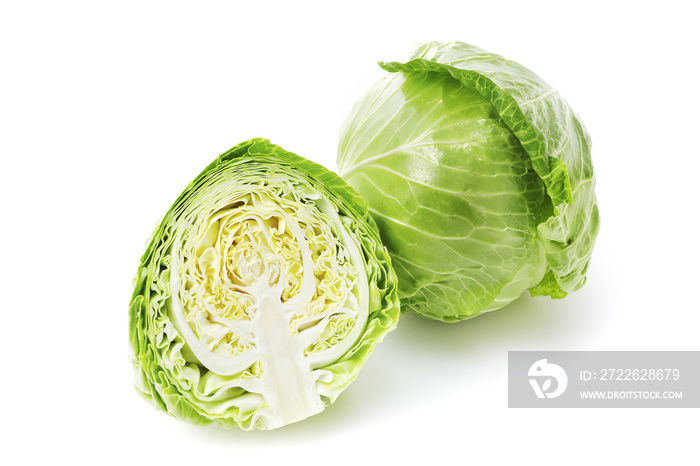 キャベツ　Cabbage