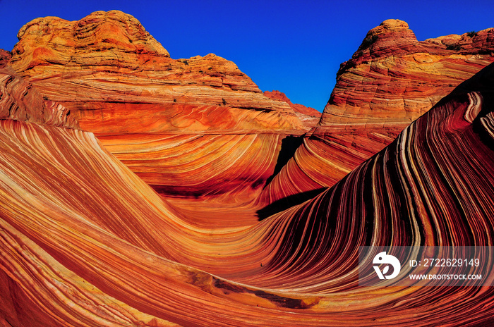 The Wave, Coyote Buttes North, Vermilion Cliffs National Monument, Arizona, USA