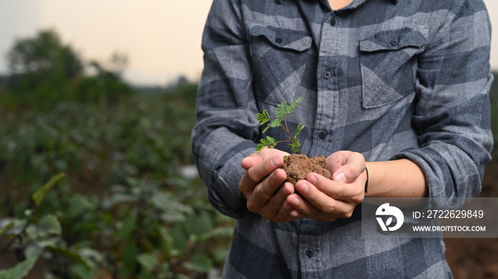 Cropped shot of farmer holing young sprout while standing at field.