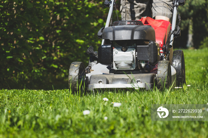 Mowing the grass with a lawn mower in garden at spring