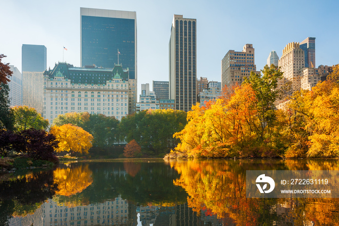 Central Park in autumn with yellow leaves reflecting in a lake, New York City, United States of America