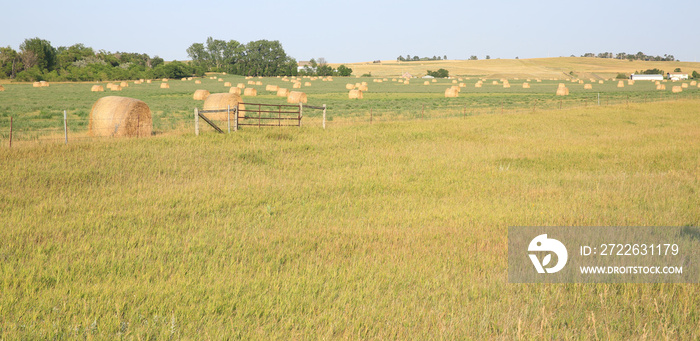 Farmland near Dodge in summer, North Dakota, USA