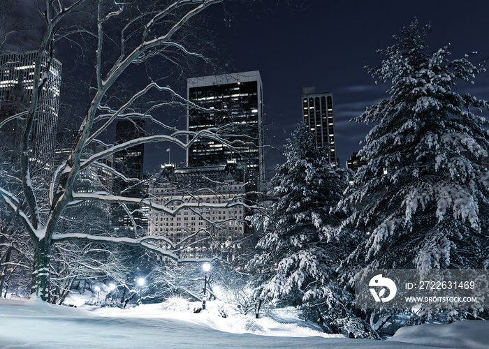 Winter NYC with trees and snow