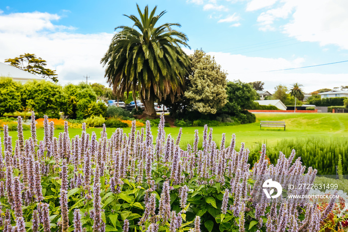 Pioneer Memorial Gardens in Sorrento Australia