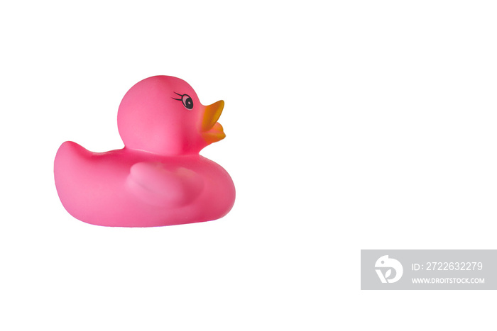 pink rubber duck isolated on white