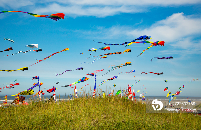 Long Beach, WA;  Many kites in the air at the Washington State International Kite Festival at Long Beach.  It is the largest kite festival in North America