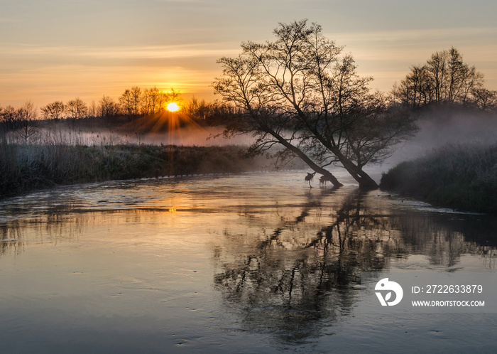 rzeka łupawa poland